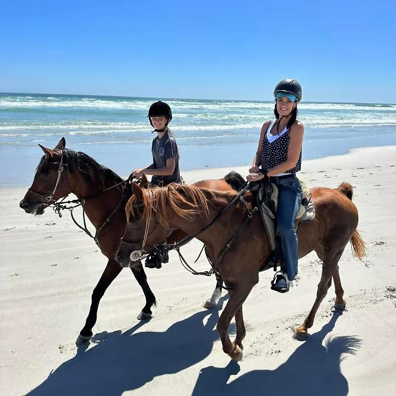 Beach Haven Cape Town Holiday home